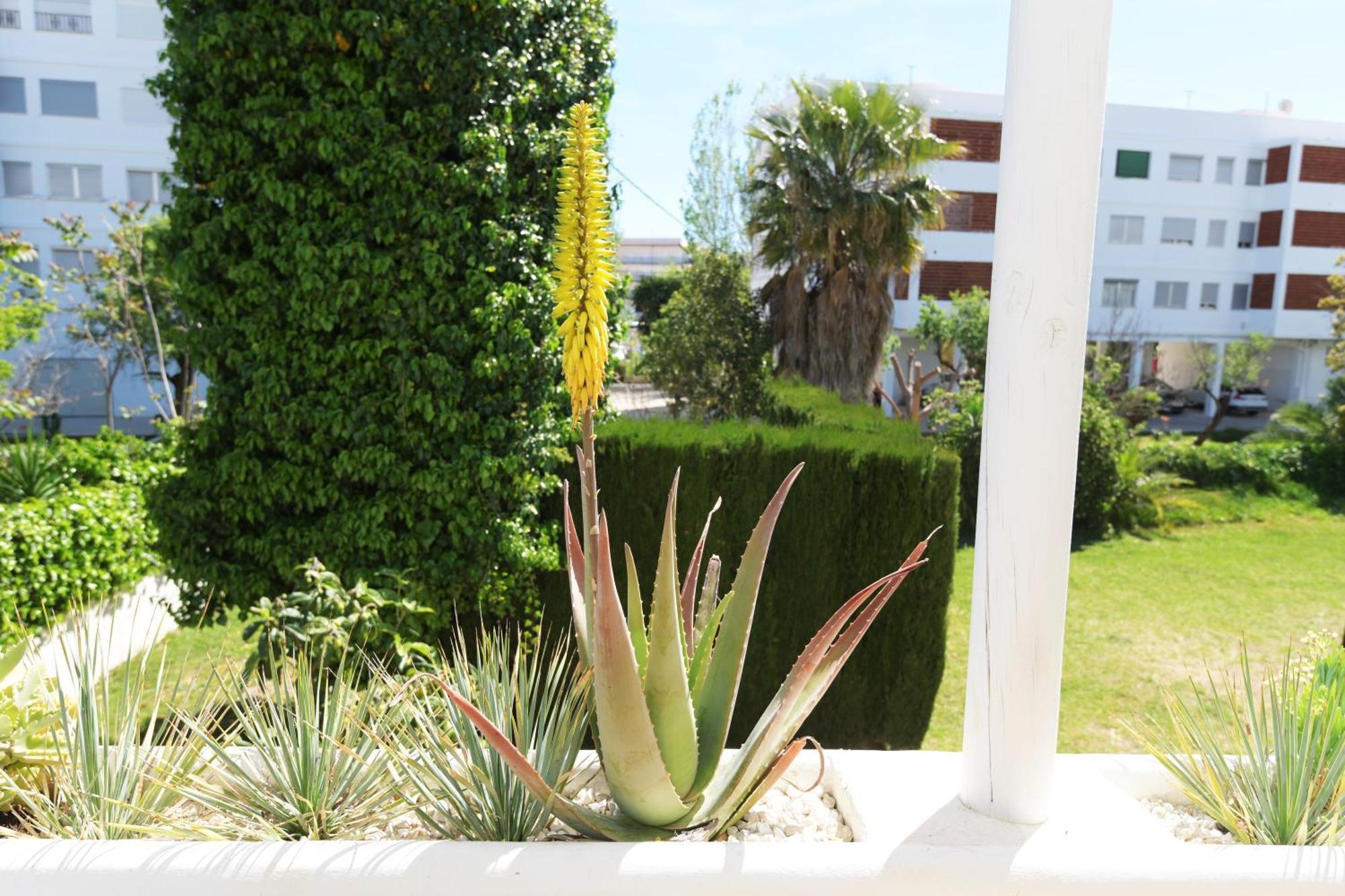 Stories Javea - Cosy Boho Apartment El Arenal - Toplocation - 250M From The Beach! 외부 사진